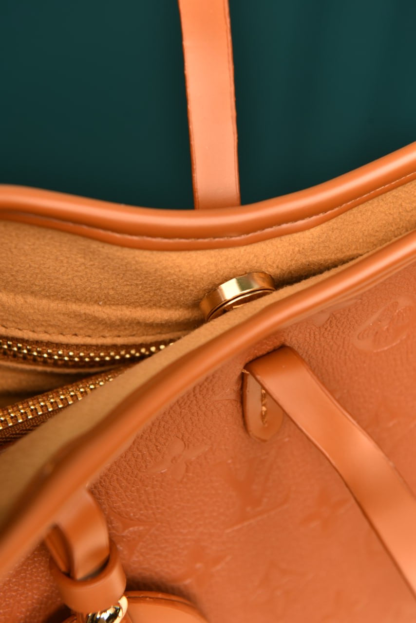 LOUIS VUITTON - Carryall PM (4 Renk)