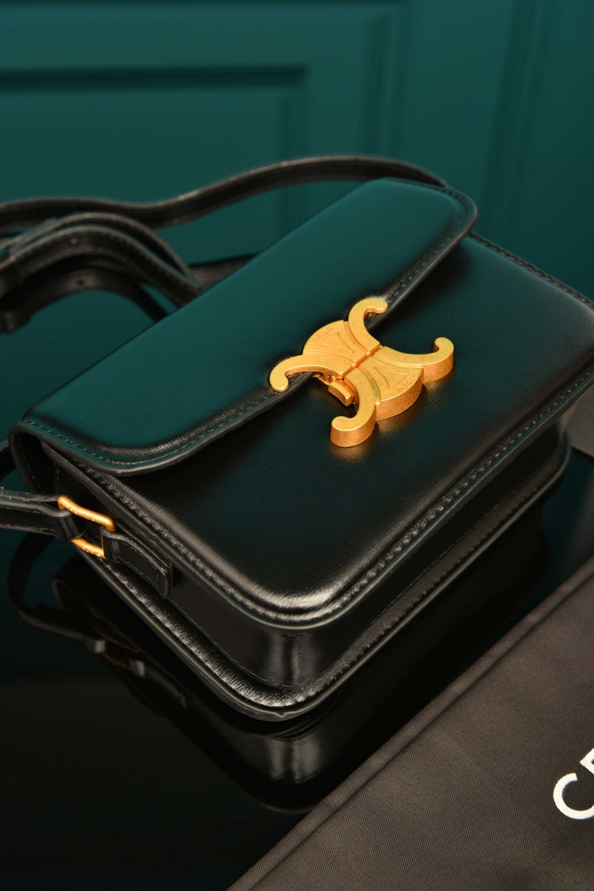 CELINE - Classique Triomphe Bag in Shiny (7 Renk)