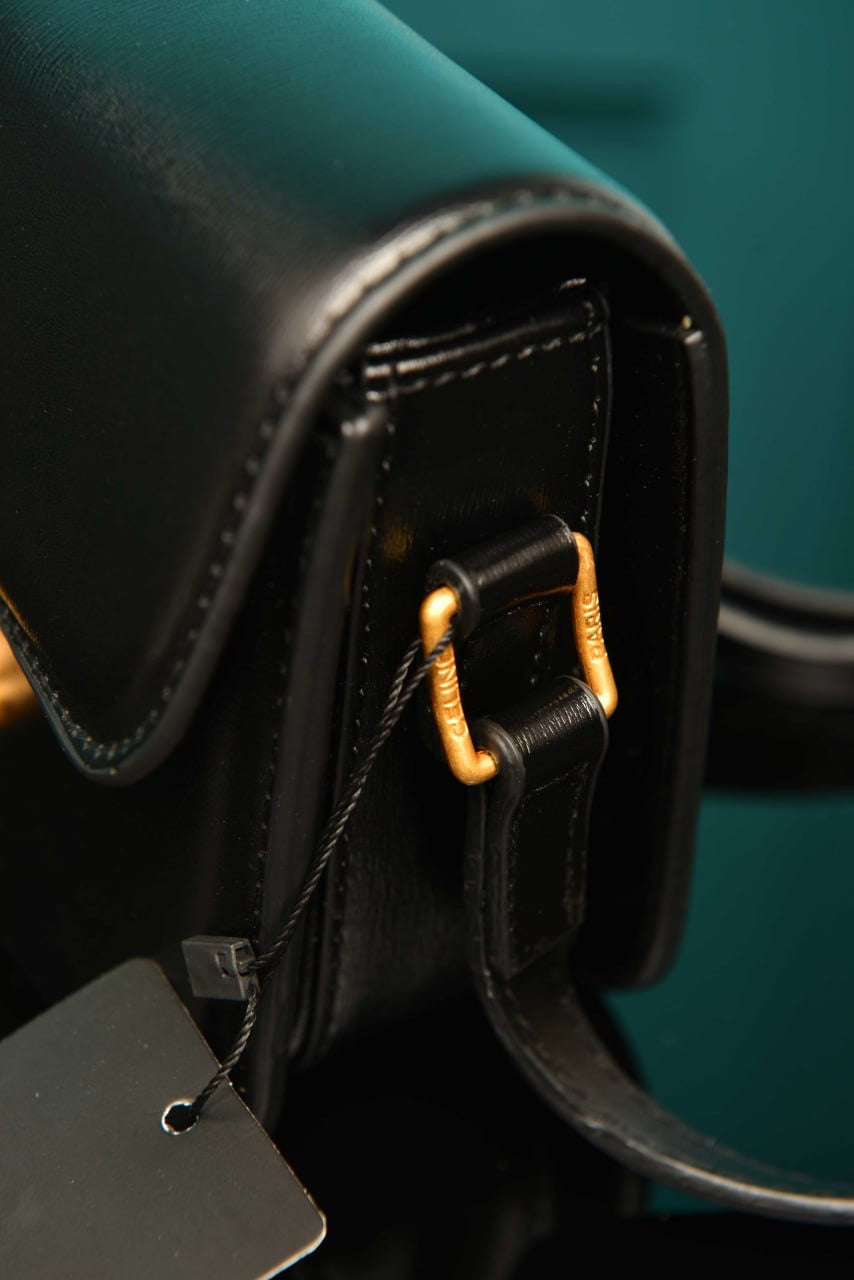 CELINE - Classique Triomphe Bag in Shiny (7 Renk)